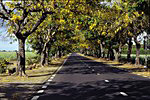 Mahebourg